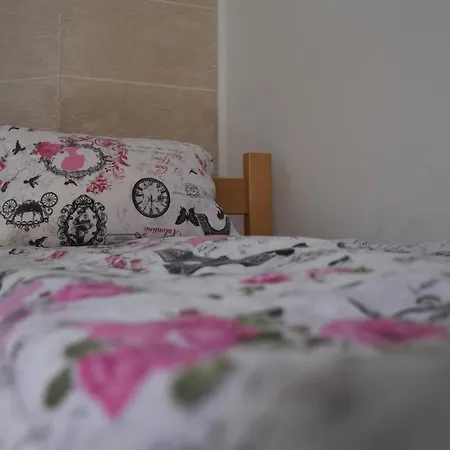 Exit Labirint Centar Hostel Novi Sad